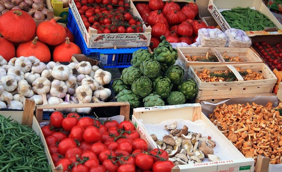 aprire un azienda agricola